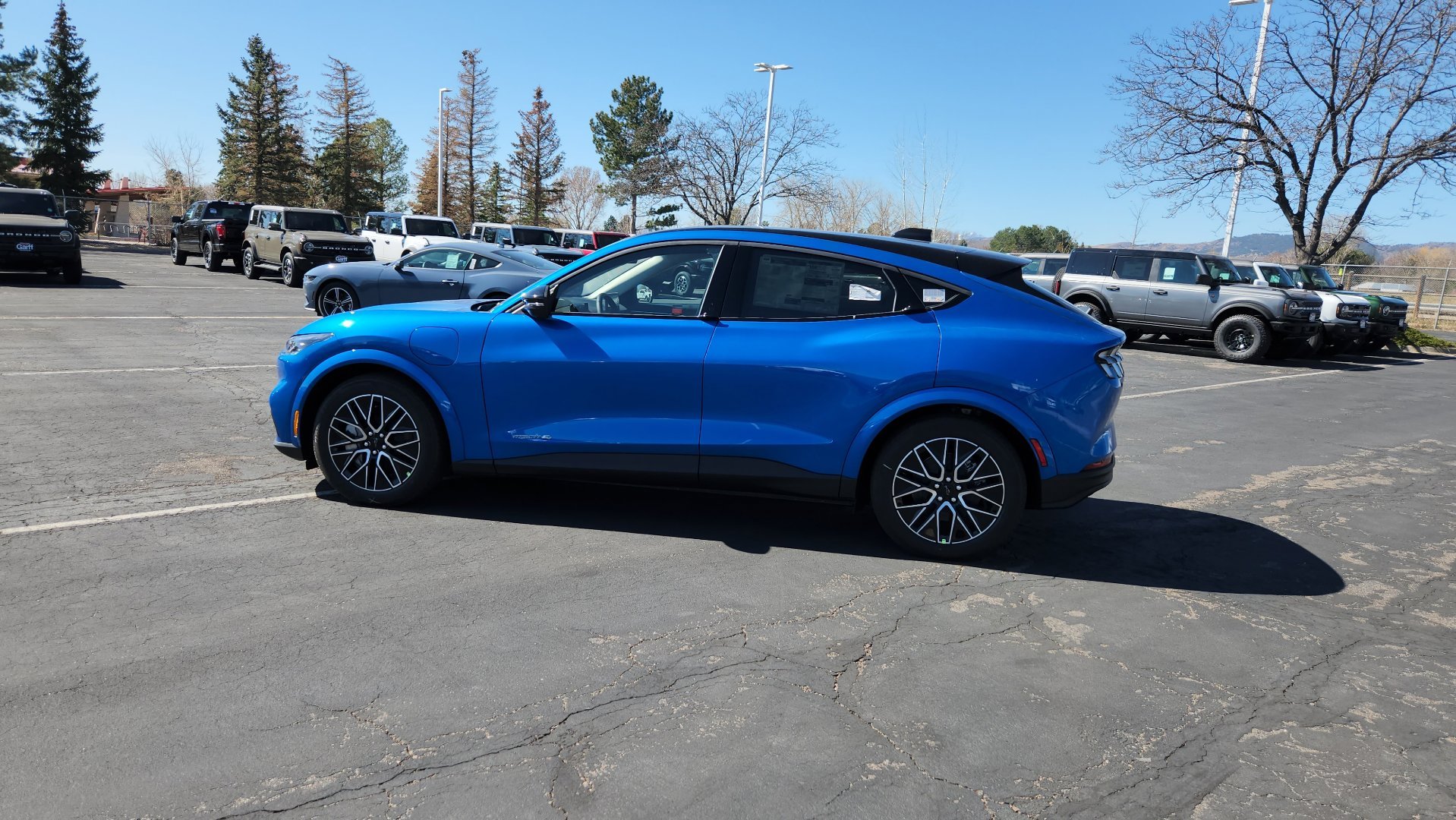 New 2026 Velocity Blue Metallic Ford Premium image 7