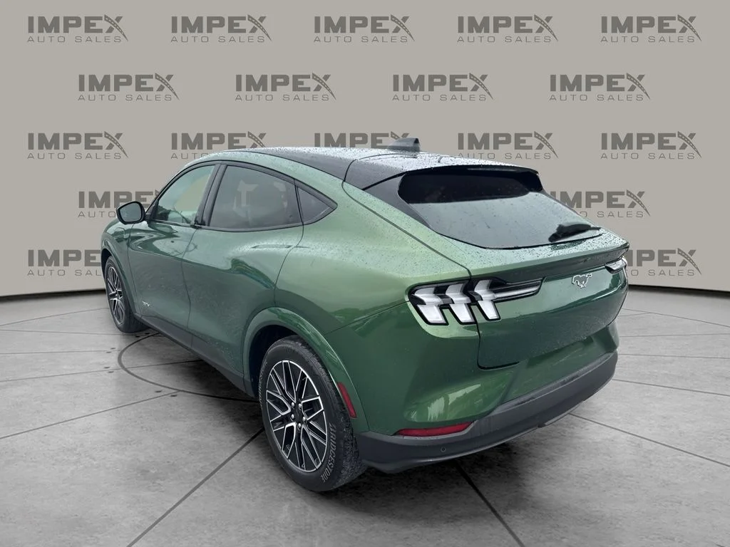 Used 2025 Green Ford Premium image 3