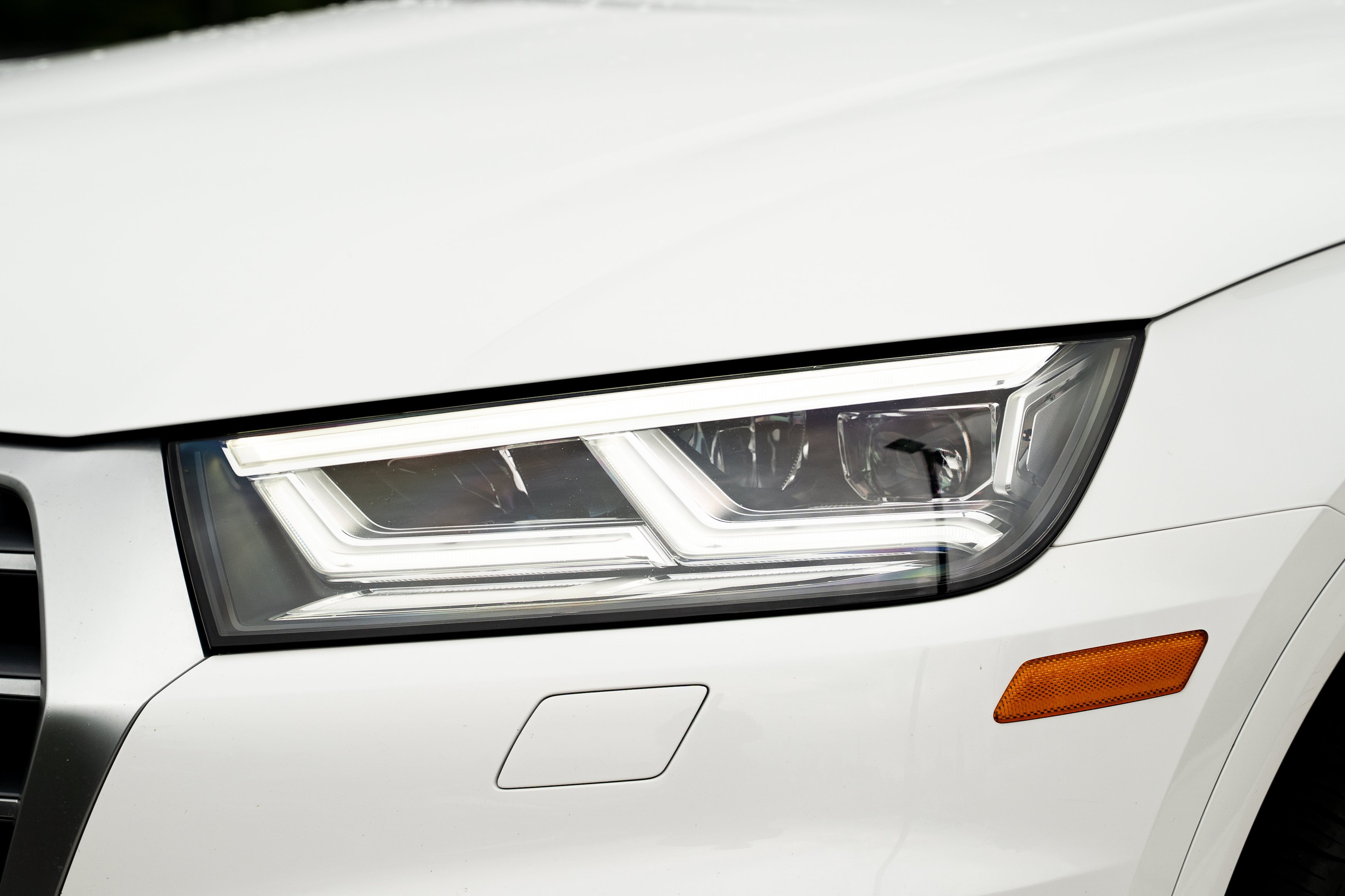 Used 2019 Ibis White Audi Prestige image 35