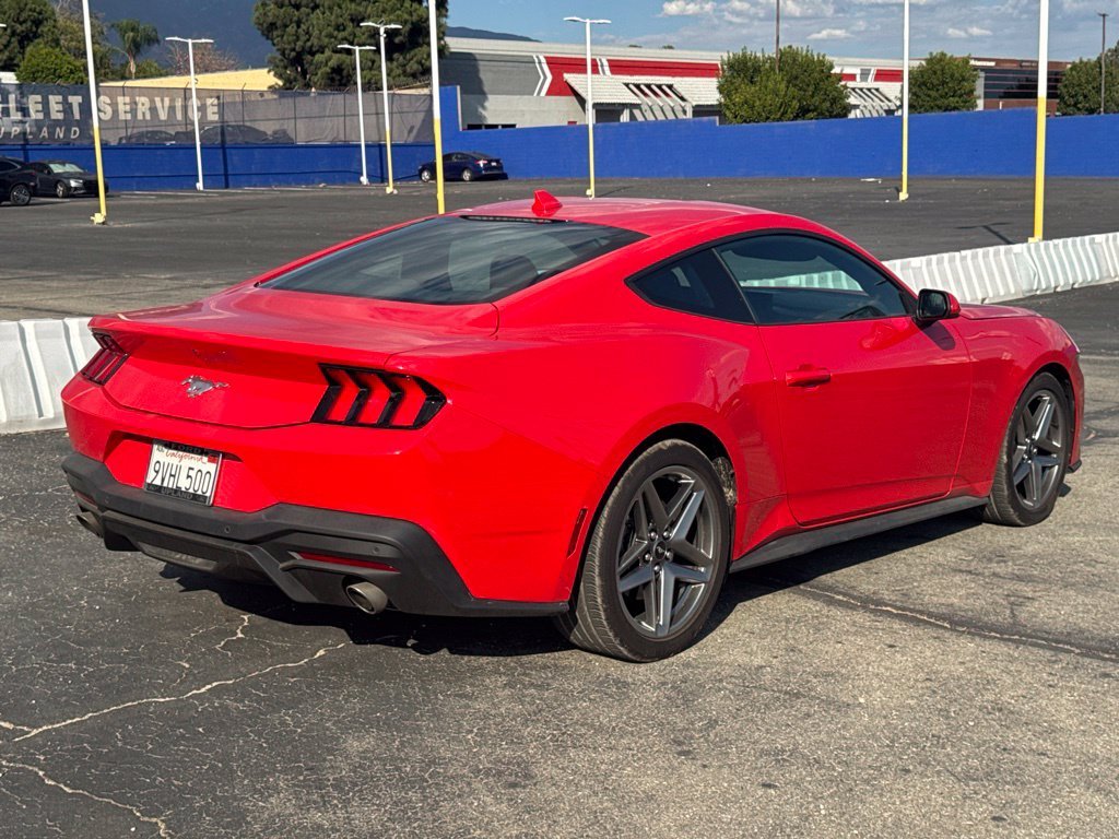 Used 2025 Race Red Ford EcoBoost image 9