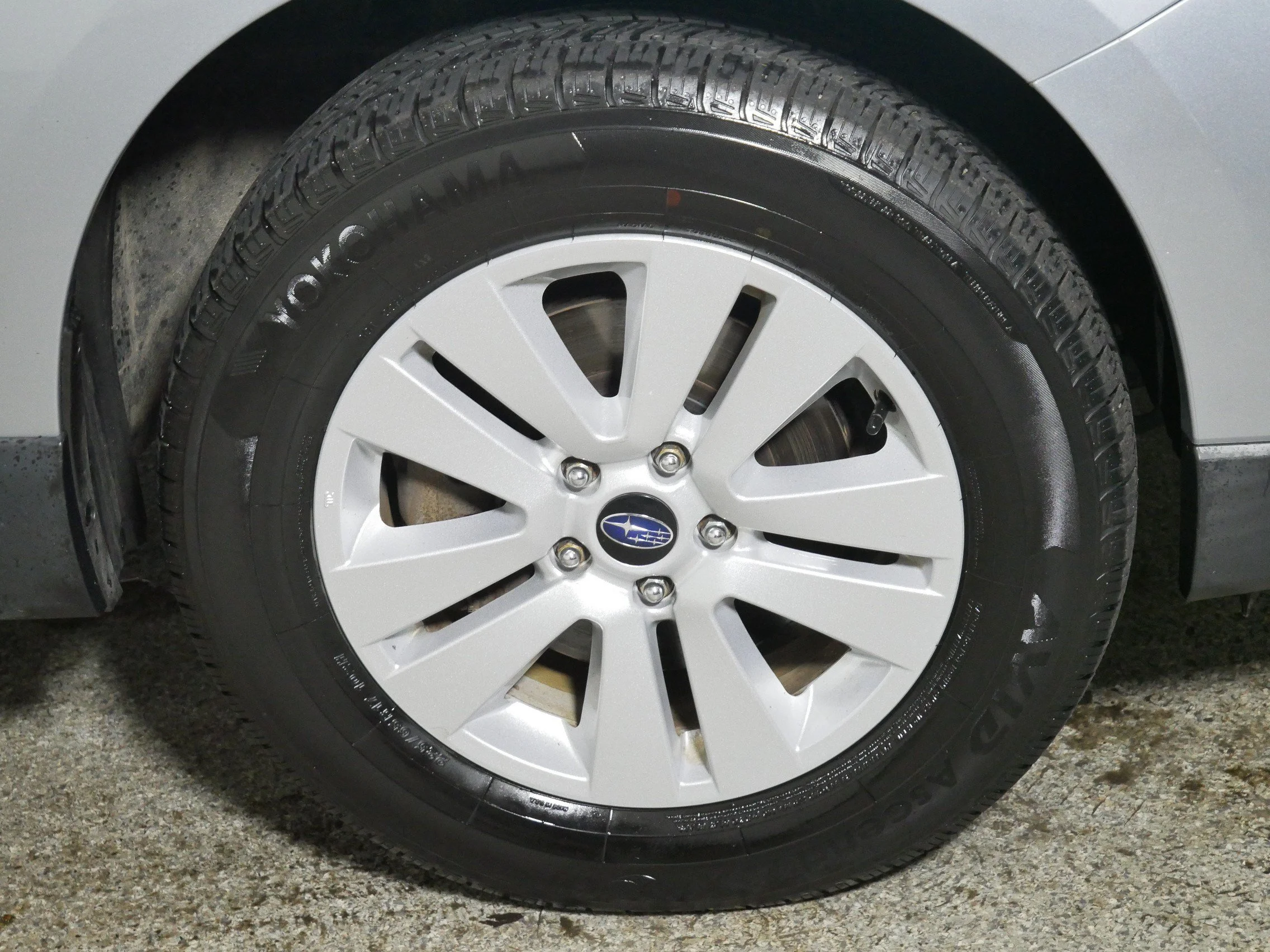 Photo 15