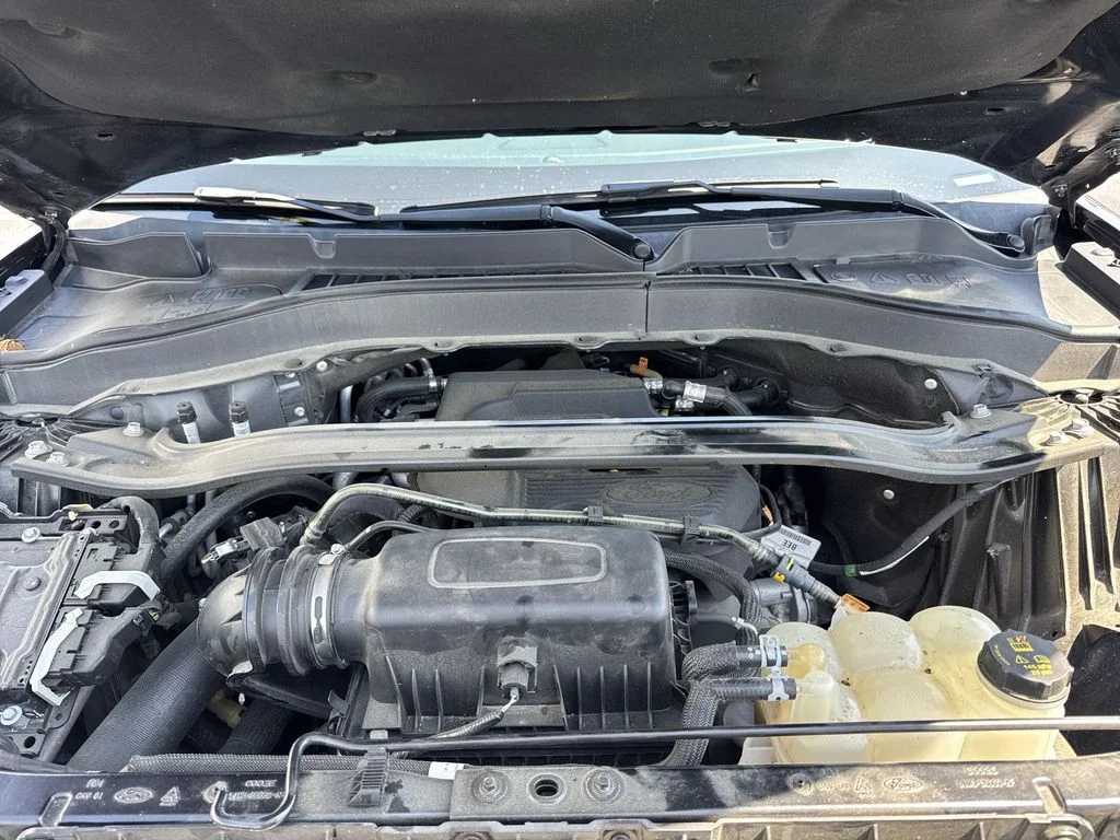 Used 2020 Black Ford Limited image 26