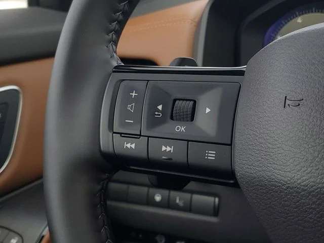 Used 2026 Red Nissan Platinum image 22
