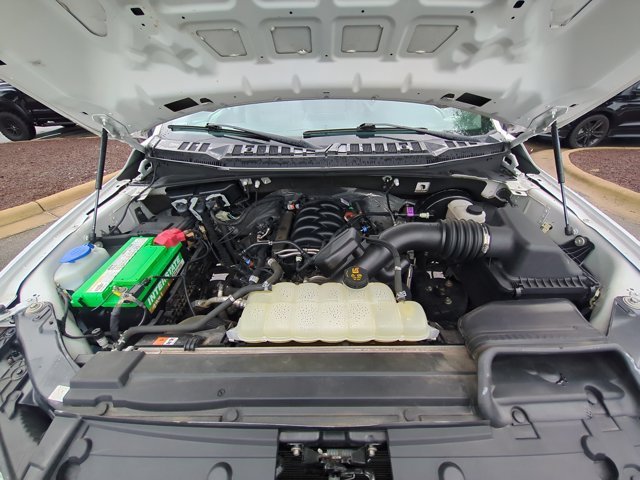 Used 2019 Oxford White Ford  image 33