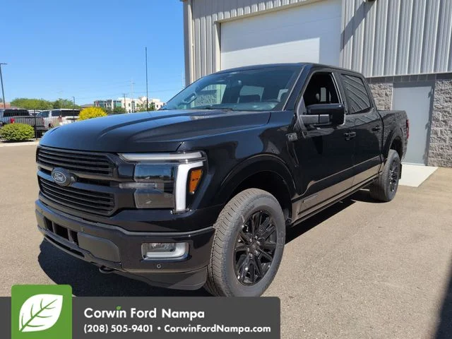 New 2026 Black Metallic Ford Platinum image 7