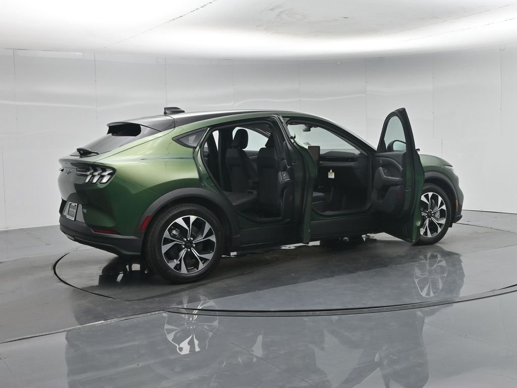 New 2026 Eruption Green Metallic Ford Select image 5