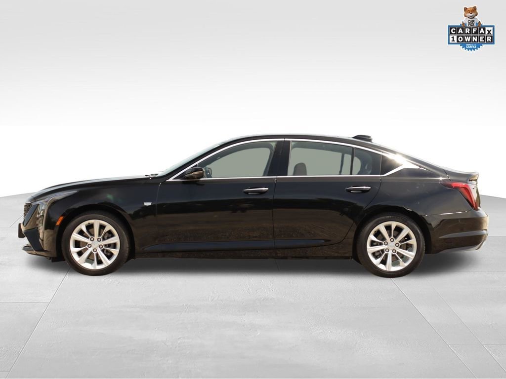 Used 2026 Black Raven Cadillac Premium Luxury image 4