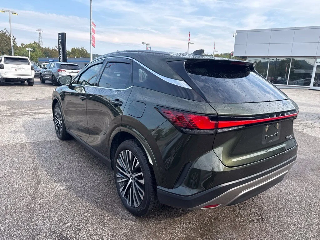 Used 2025 Green Lexus 350h Premium Plus image 6