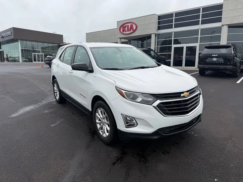 Used 2018 White Chevrolet LS image 4
