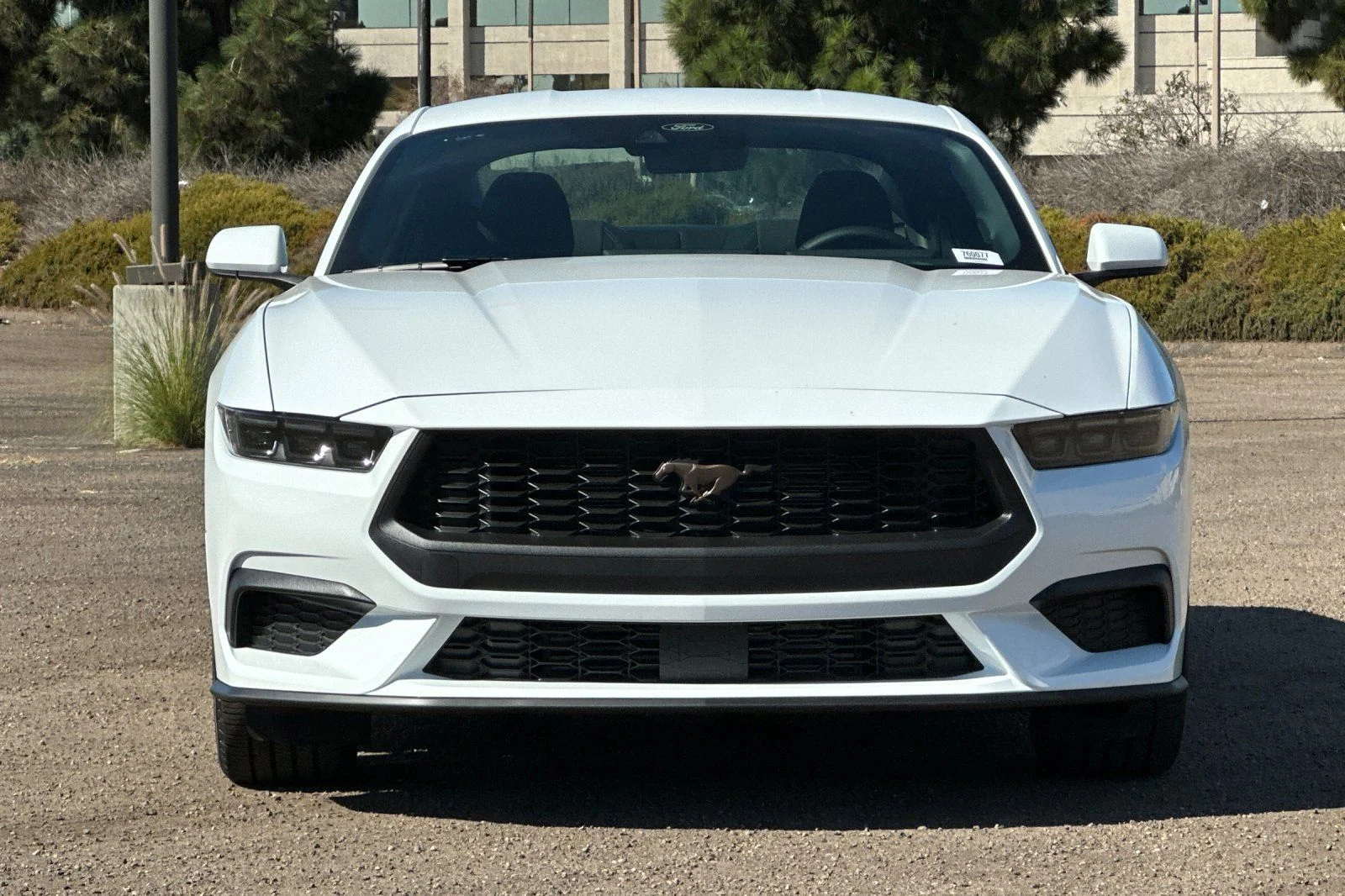 New 2026 Oxford White Ford EcoBoost® Fastback image 5