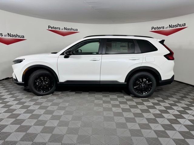 New 2026 Platinum White Pearl Honda Sport-L image 4