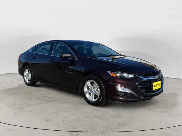 Used 2020 Red Chevrolet LS image 3