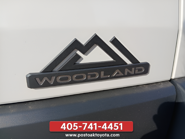 New 2026 Halo Toyota bZ Woodland Premium image 33