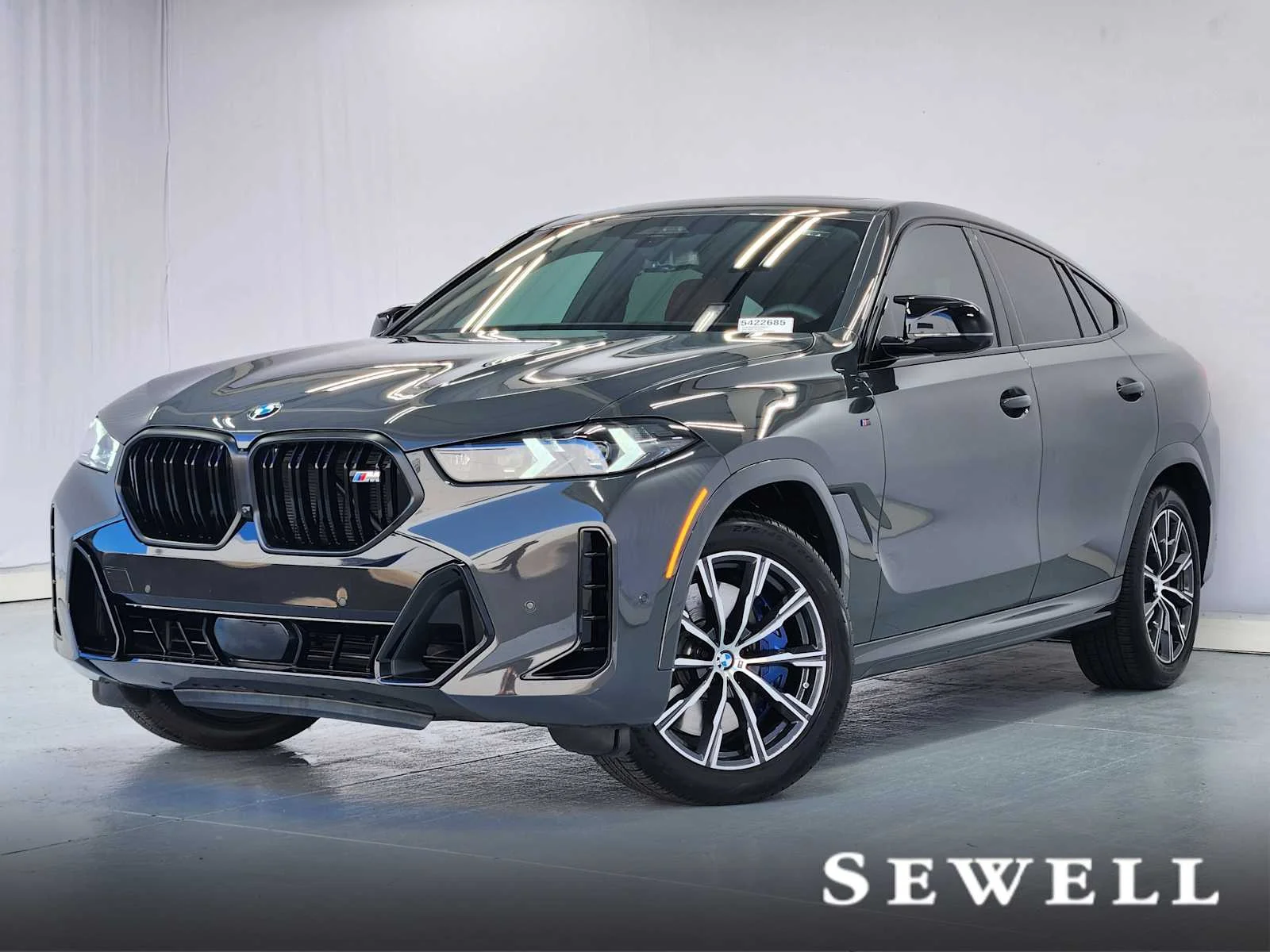 2026 BMW X6 M60i's photo