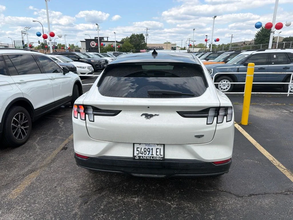 Used 2021 White Ford California Route 1 image 4
