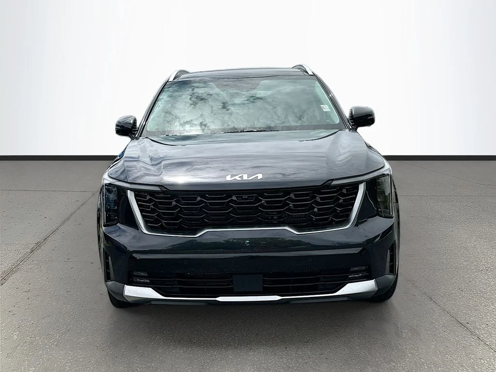 New 2026 Panthera Metal Kia SX image 2
