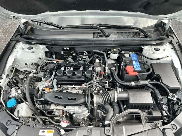 Used 2024 White Honda LX image 19