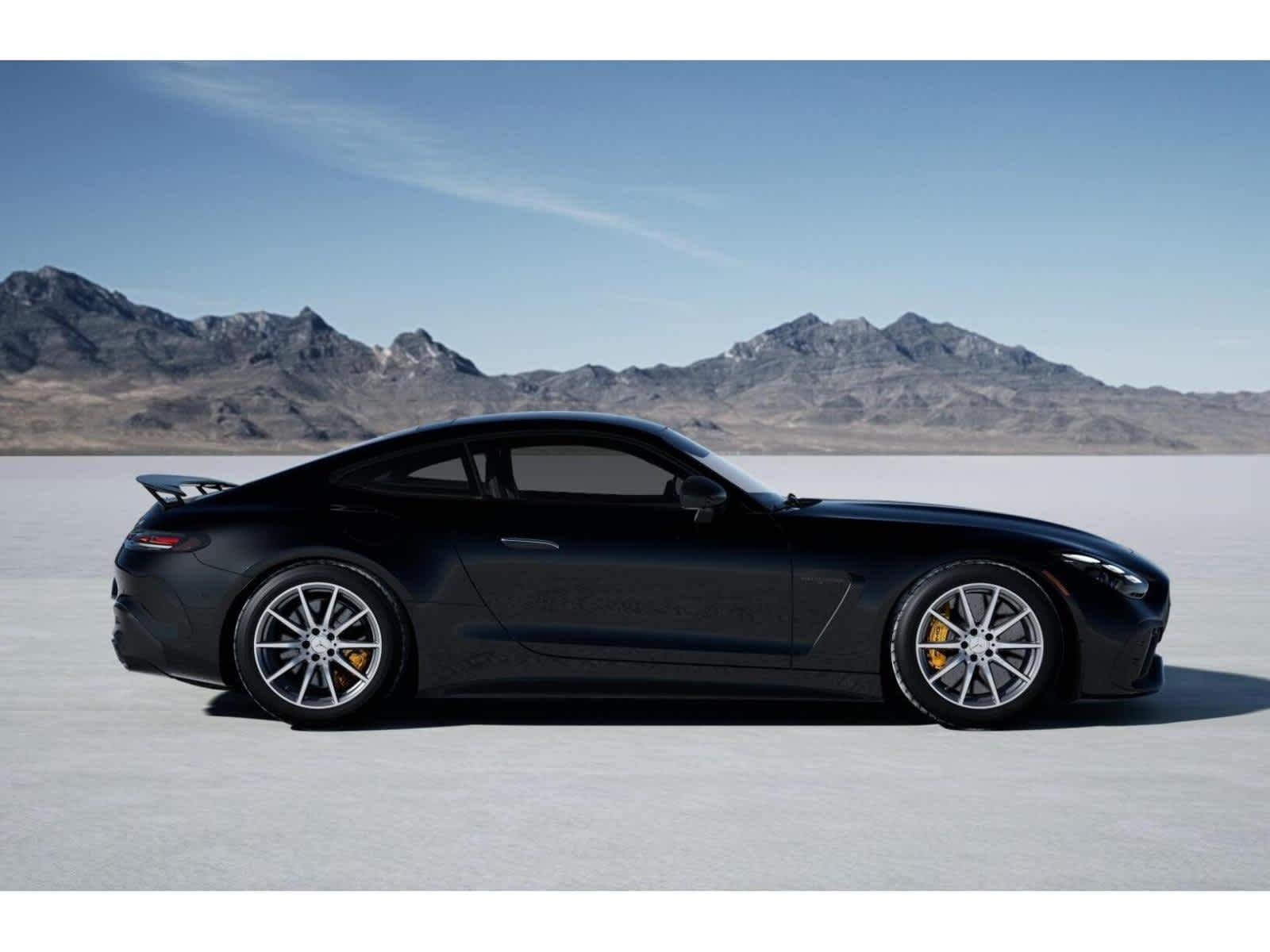 2025 Mercedes-Benz AMG GT Coupe 63 PRO - Photo 16