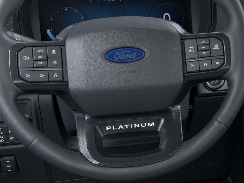 New 2025 Agate Black Metallic Ford Platinum® image 32