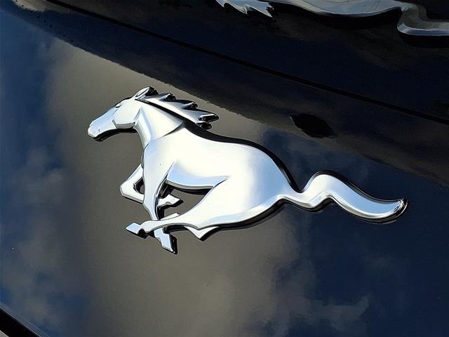 New 2026 Shadow Black Ford EcoBoost® Premium Fastback image 40
