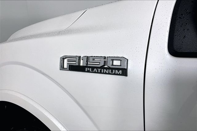 Used 2019 White Ford Platinum image 24