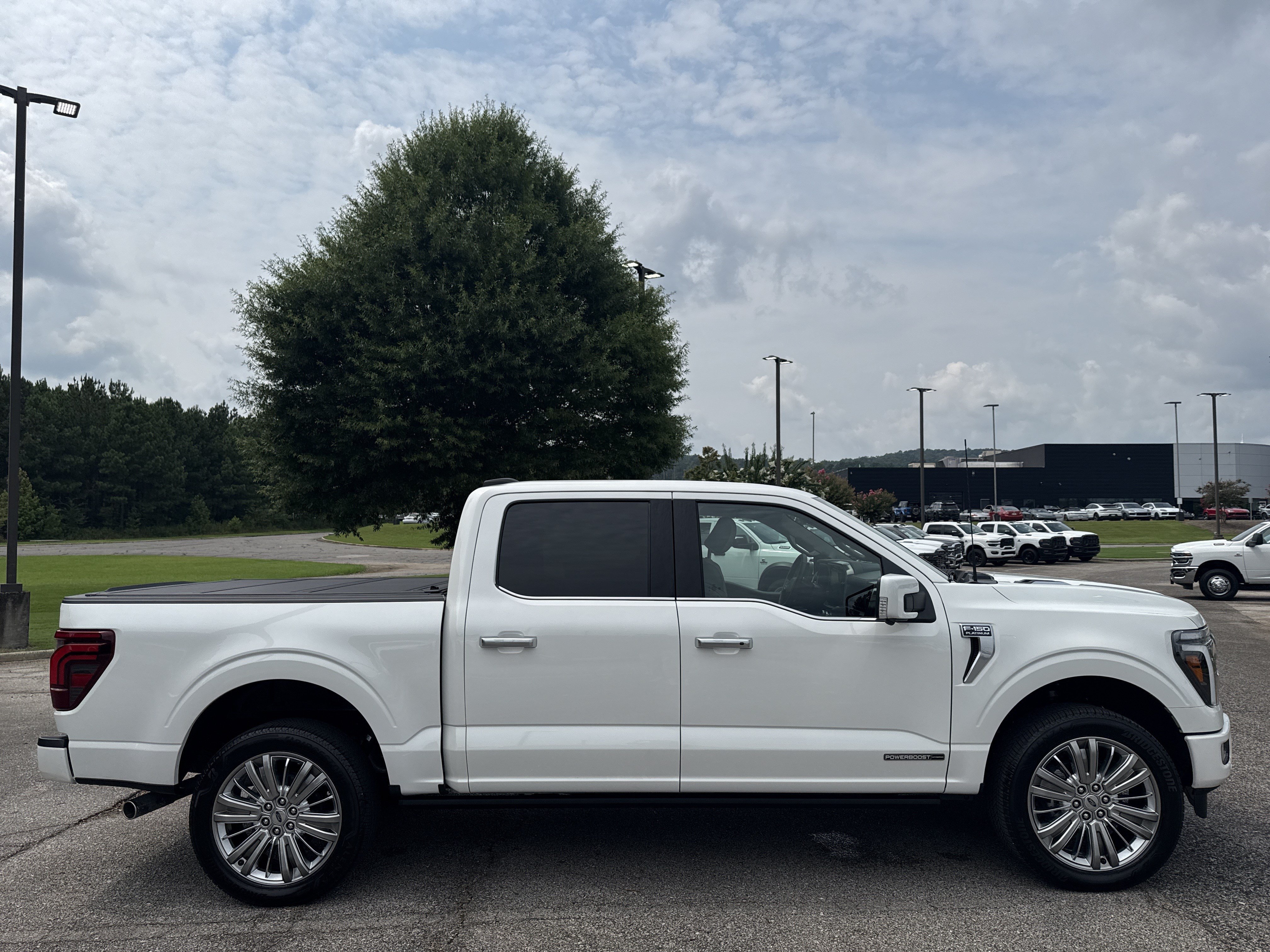 Used 2026 White Ford Platinum image 8