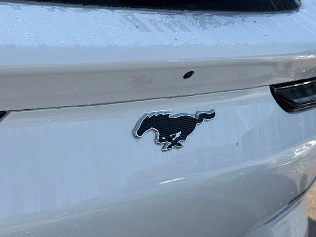 Used 2026 White Metallic Ford Premium image 14