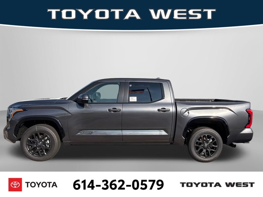 New 2026 Magnetic Gray Metallic Toyota Platinum image 9