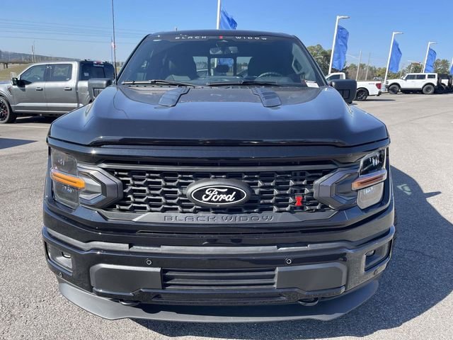 New 2026 Agate Black Metallic Ford Black Widow image 10