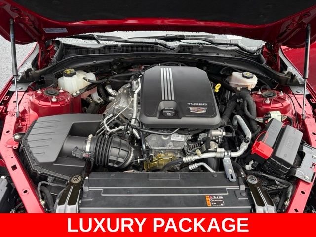 Used 2023 Red Cadillac Luxury image 11