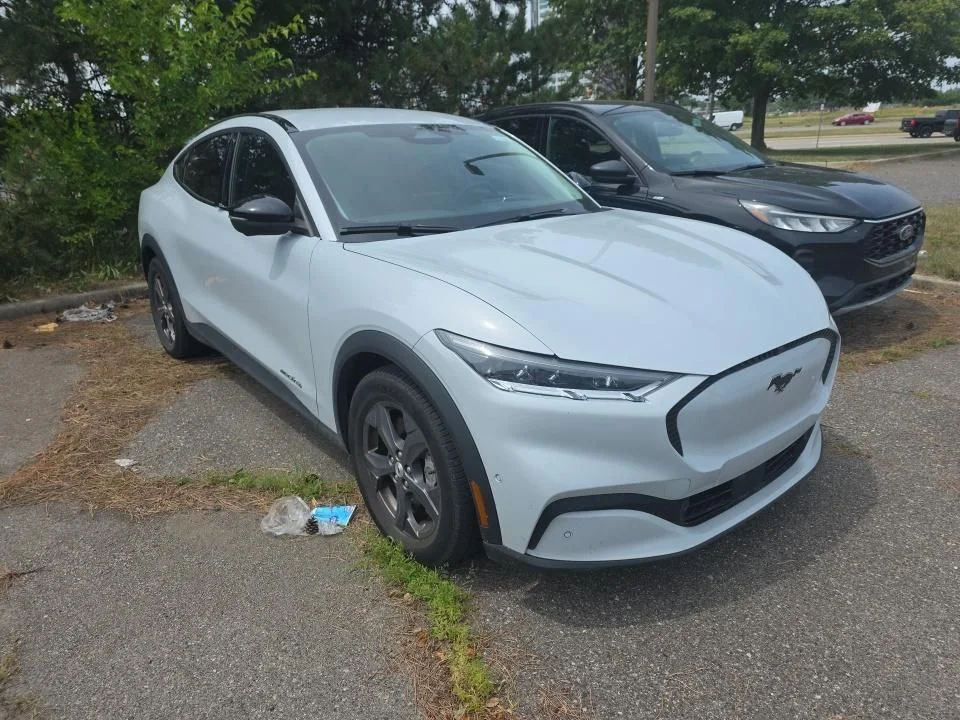 Used 2023 White Ford Select image 2