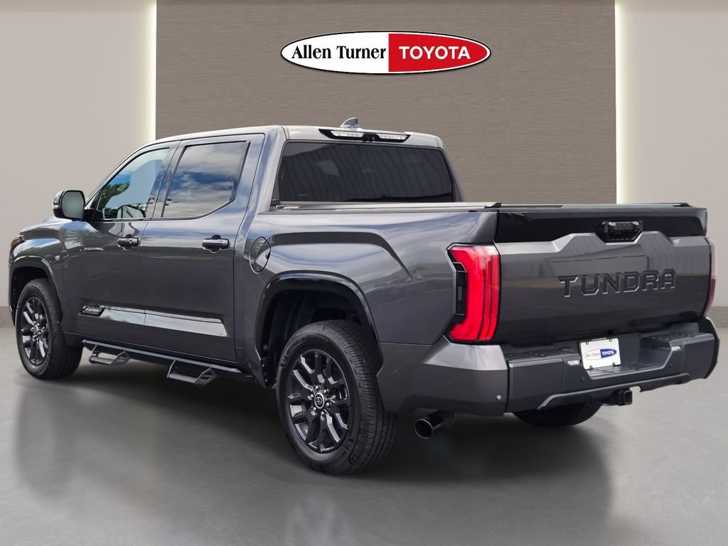 Used 2023 Gray Toyota Platinum image 8