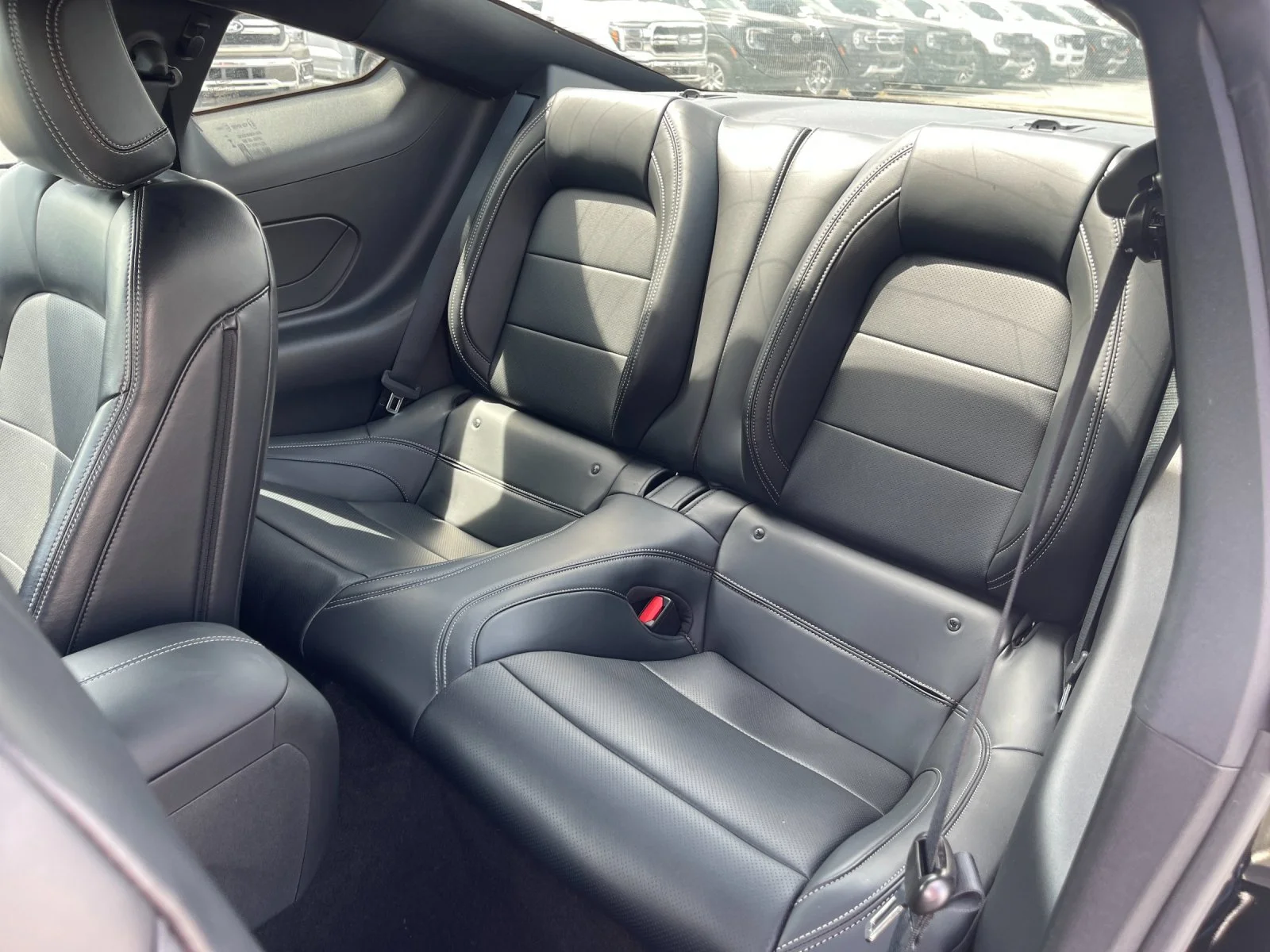 Used 2025 Black Ford GT Premium image 14