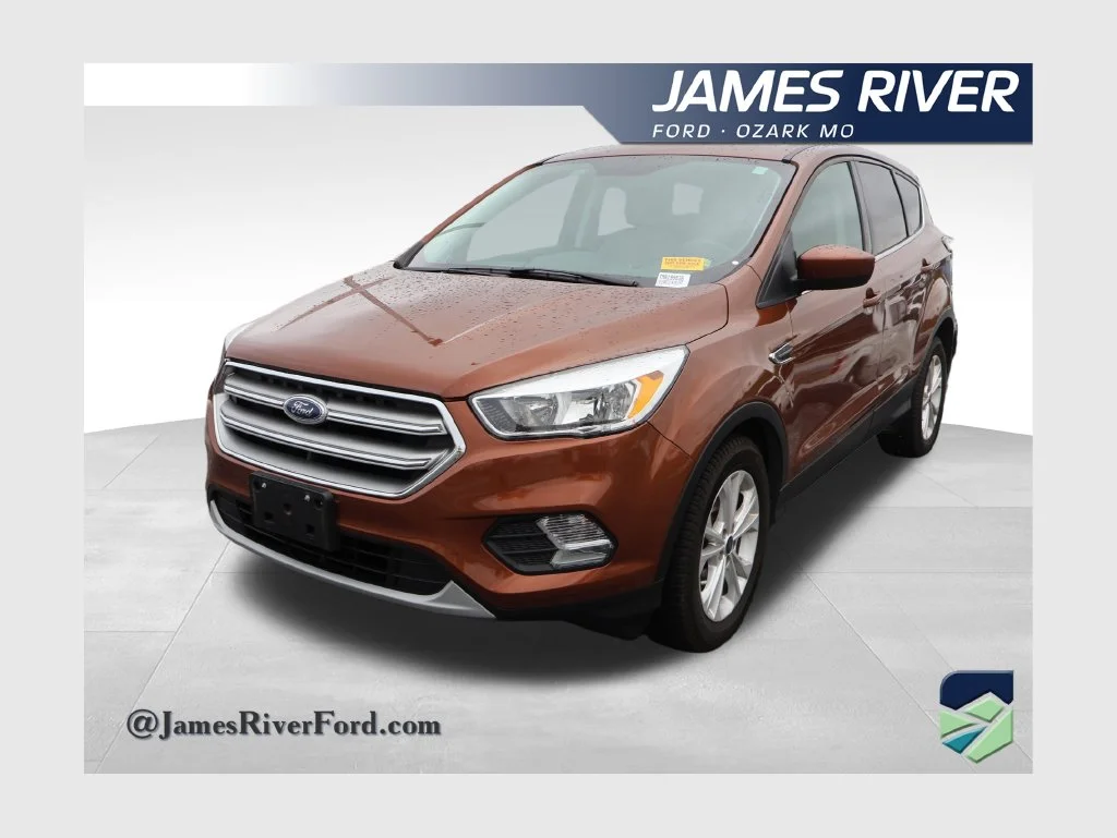 Used 2017 Canyon Ridge Metallic Ford SE image 1