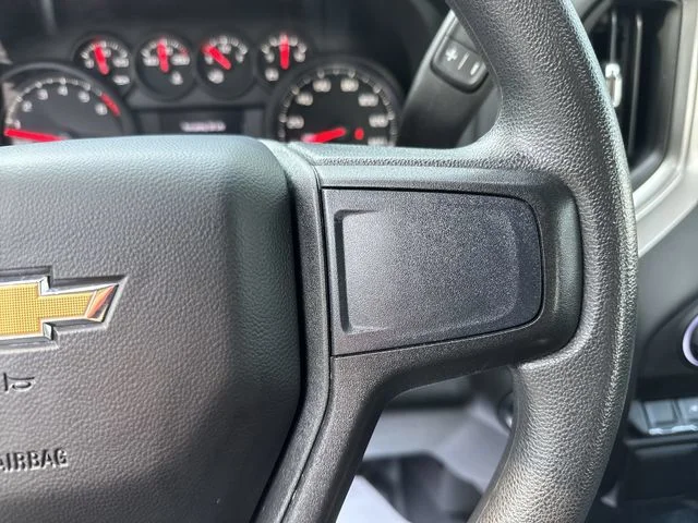 Used 2025 White Chevrolet WT image 22