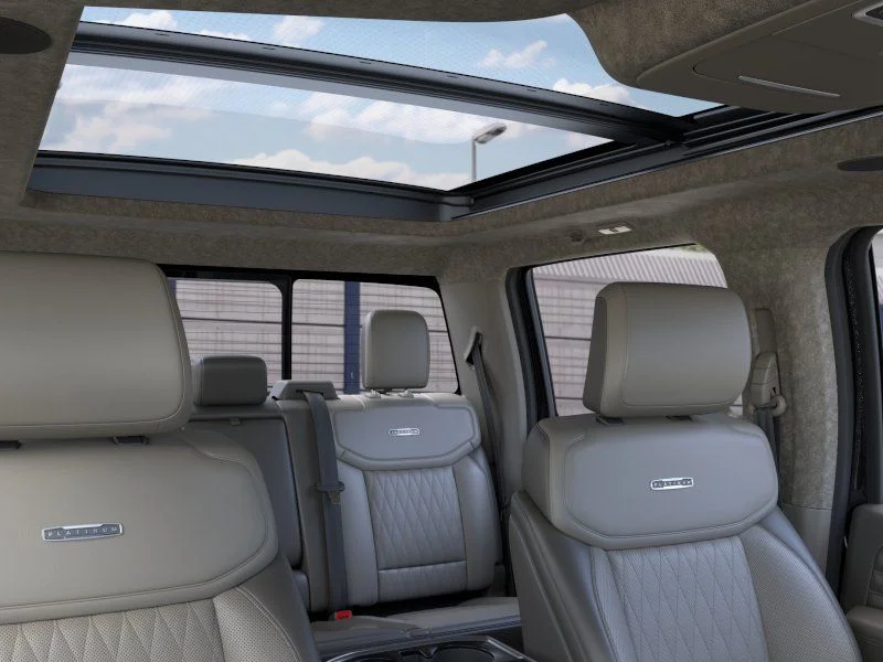 New 2026 Black Ford Platinum image 22