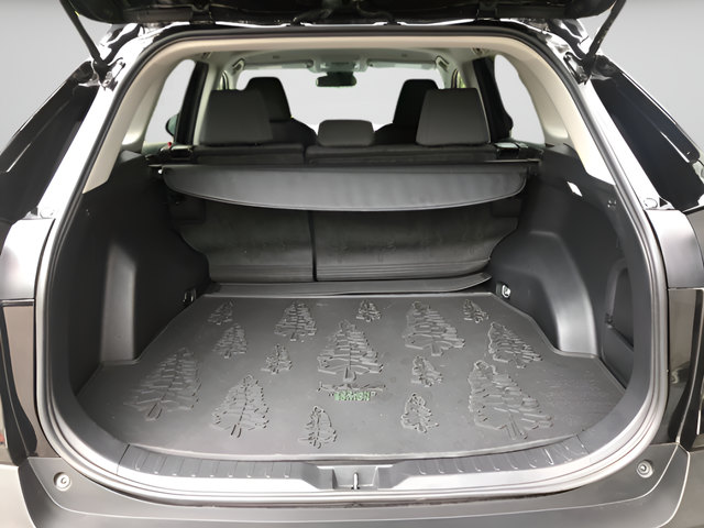 Used 2024 Black Toyota Woodland Edition image 9
