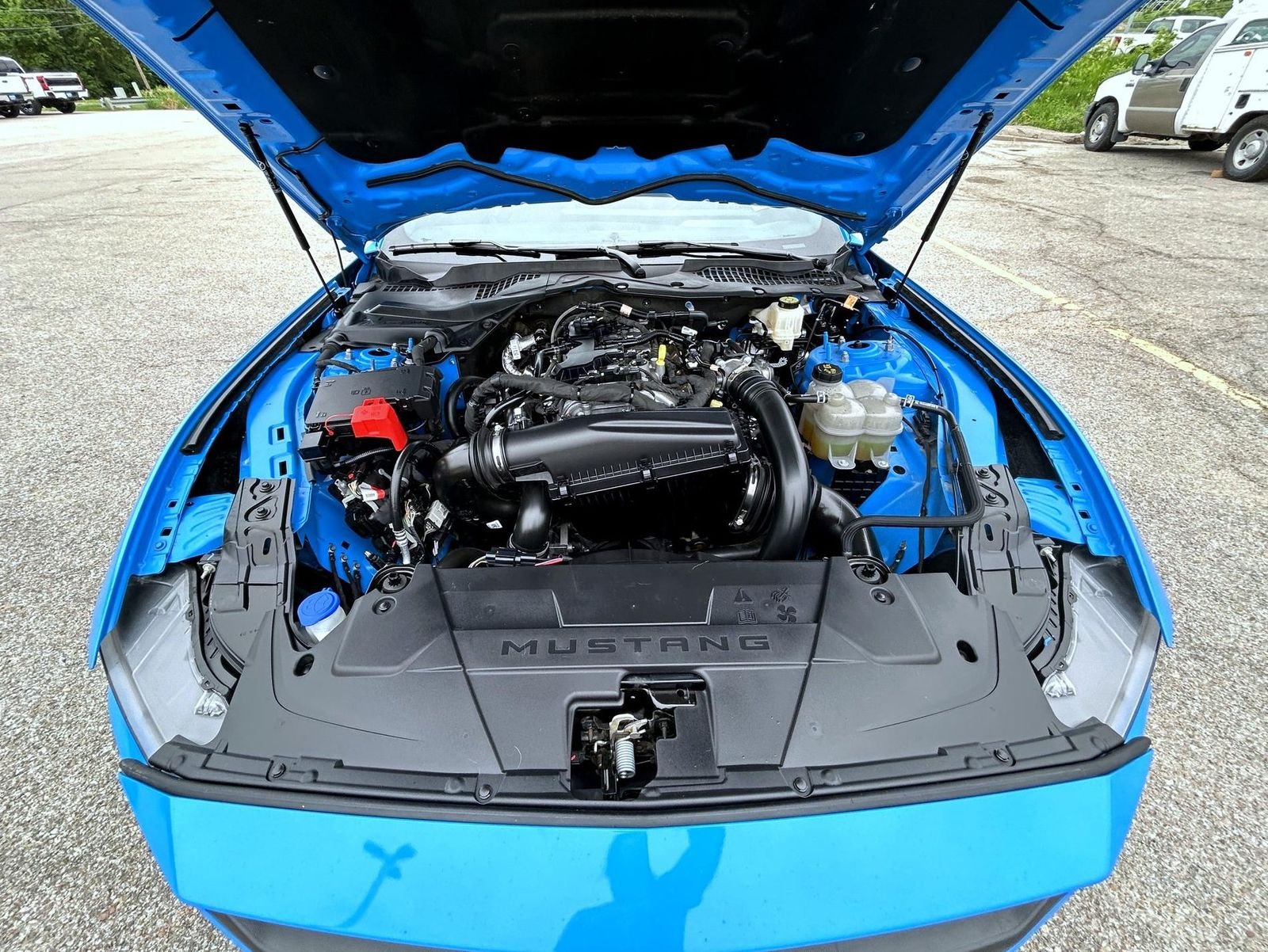 Used 2024 Blue Ford EcoBoost Premium image 22
