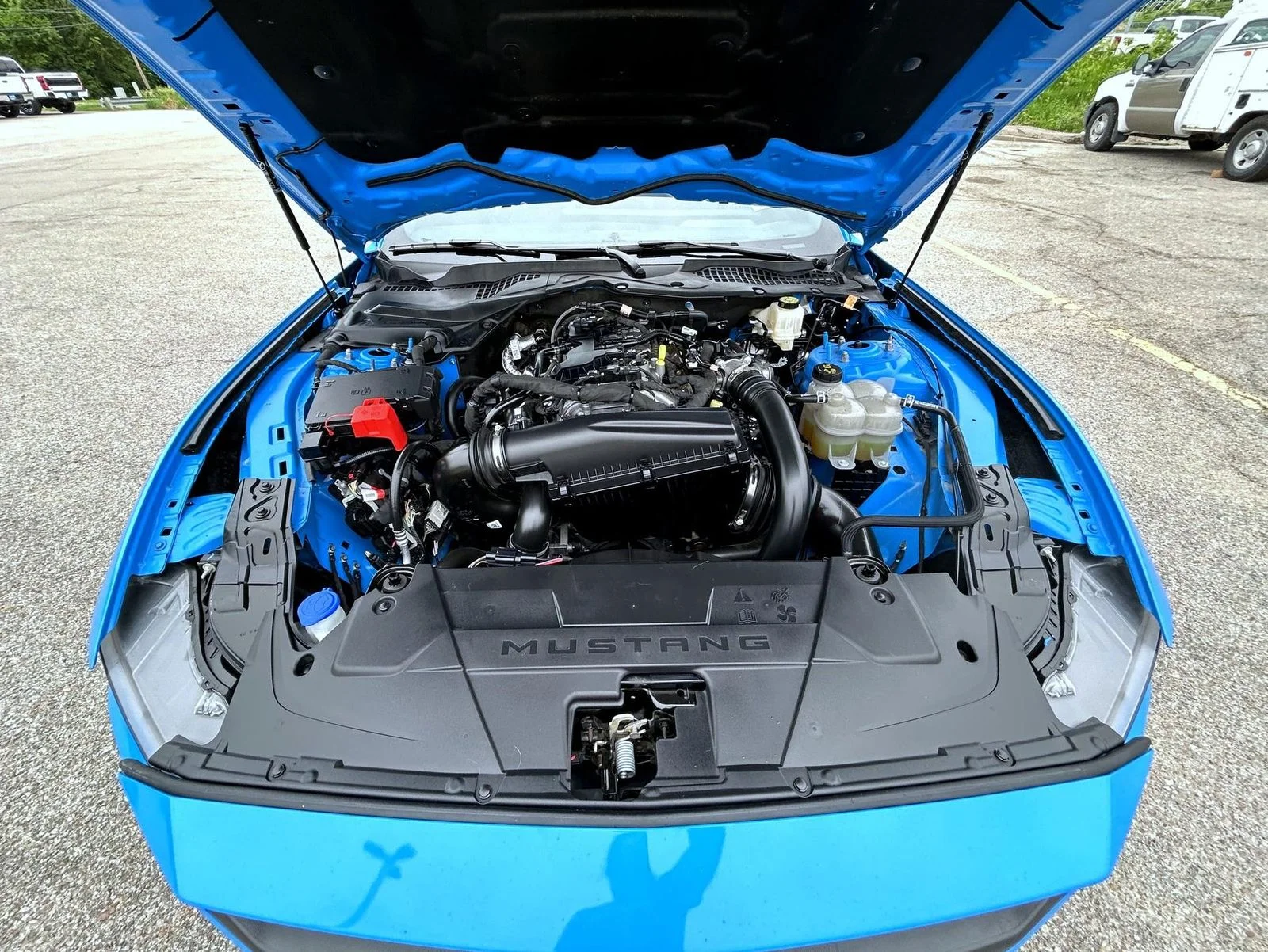 Used 2024 Blue Ford EcoBoost Premium image 22