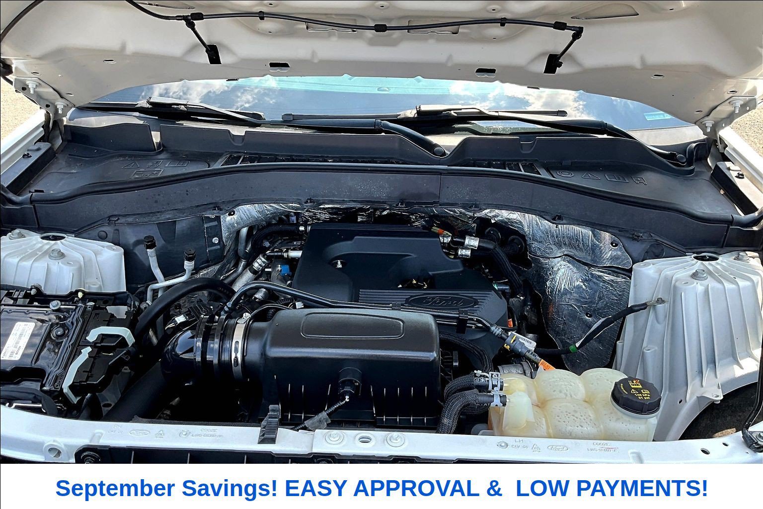 Used 2020 White Ford XLT image 28