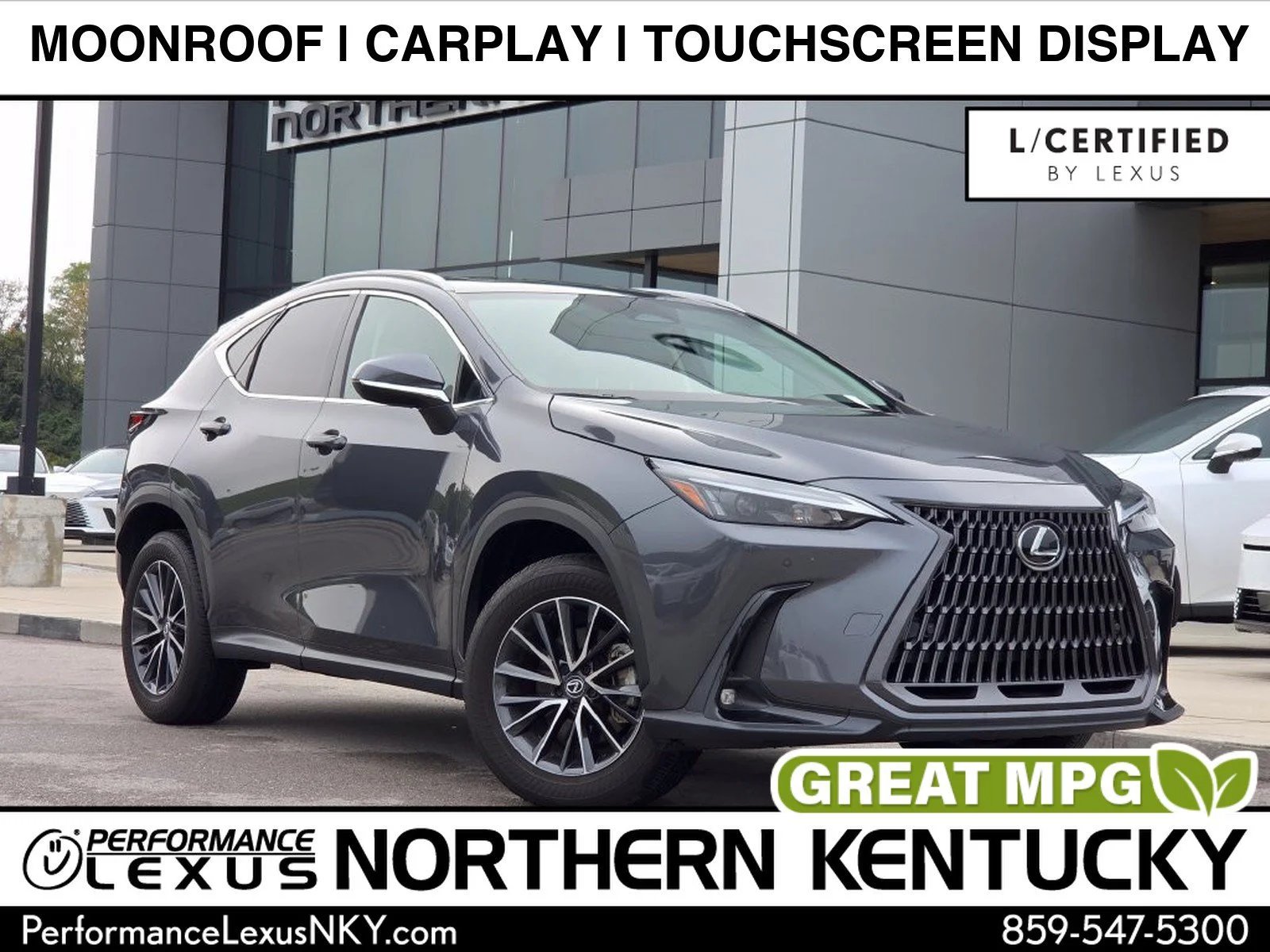 2025 Lexus NX 250