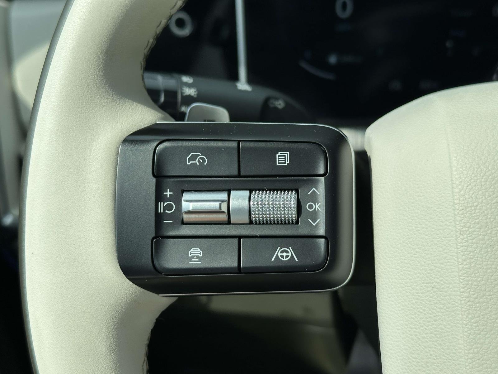 2025 Hyundai Santa Fe Calligraphy - Photo 28