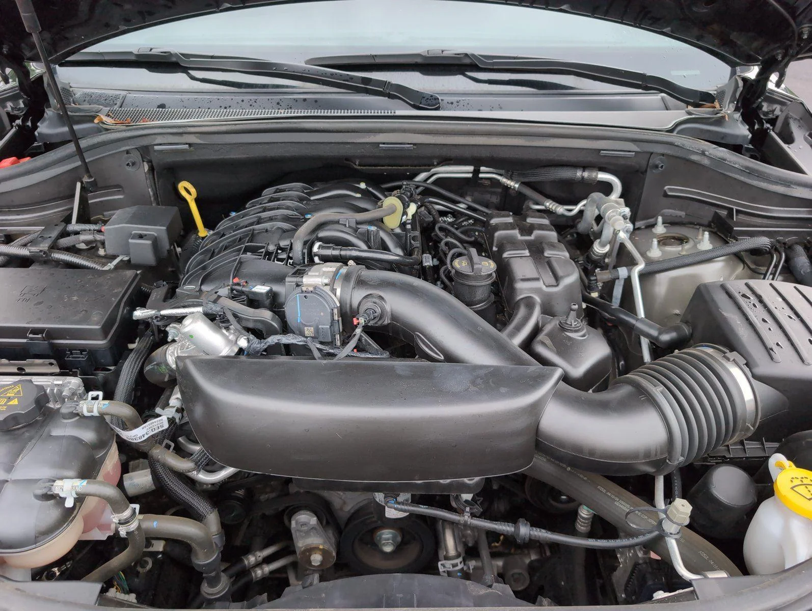 Used 2024 DB Black Clearcoat Dodge GT Plus image 15