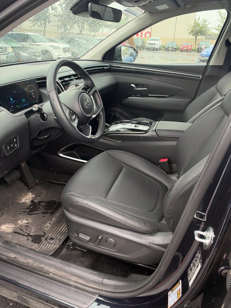Certified Used 2024 Blue Hyundai SEL Convenience image 7
