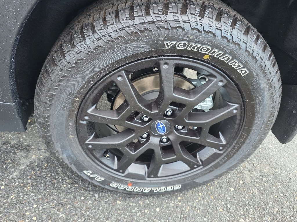 2025 Subaru Crosstrek Wilderness - Photo 6