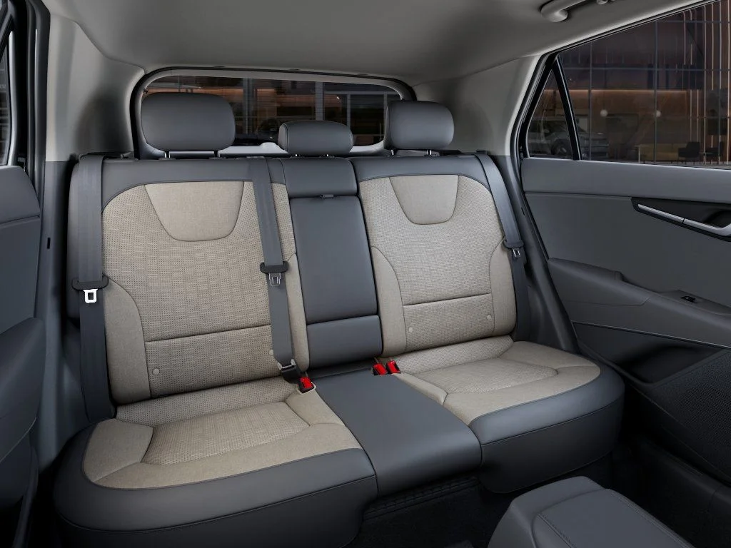 New 2026 Aurra Black Pea Kia SX image 16