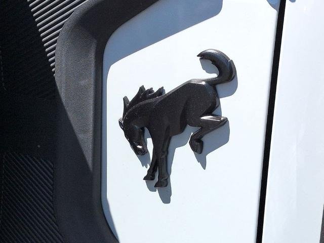 New 2026 Avalanche Gray Ford Raptor® image 27