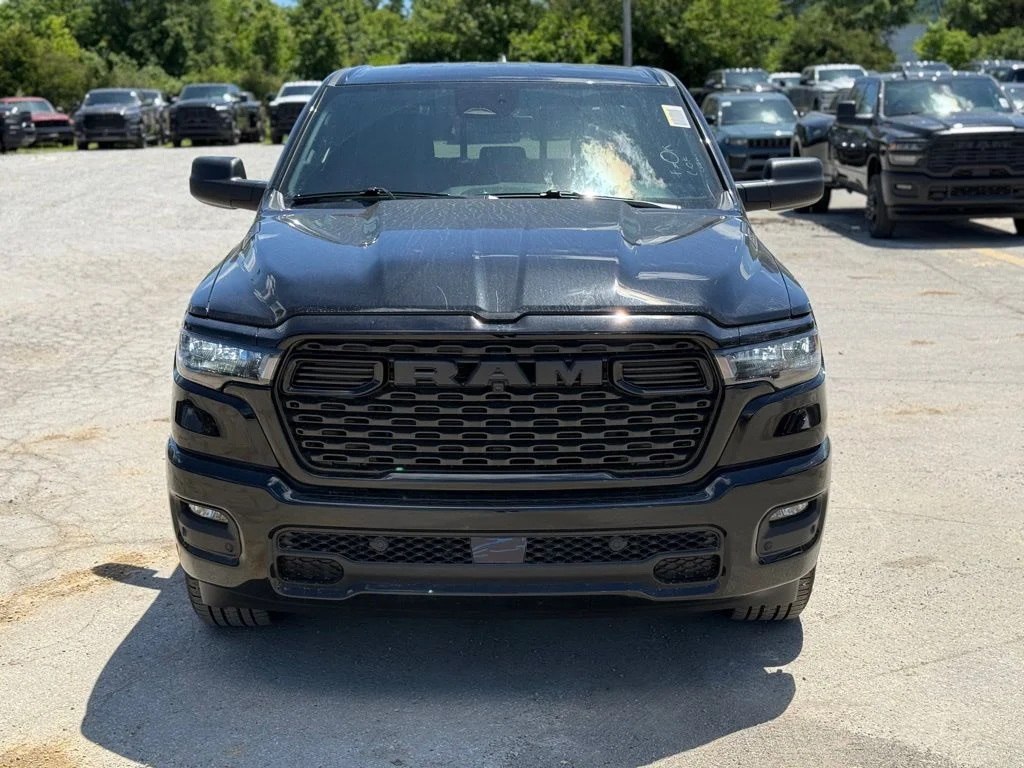 New 2026 Diamond Black Crystal Pearl-Coat Exterior Paint RAM Express image 3
