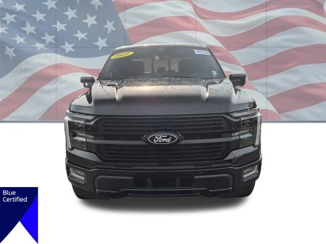 Used 2025 Black Ford Platinum image 8