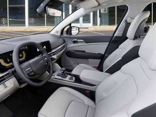 New 2026 Panthera Metal Gray Kia EX image 17